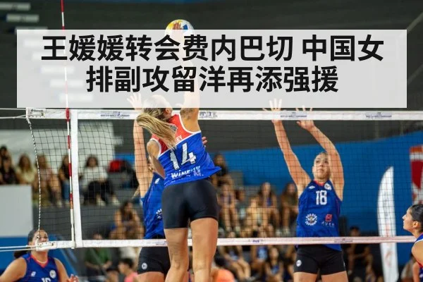 王媛媛转会费内巴切 中国女排副攻留洋再添强援